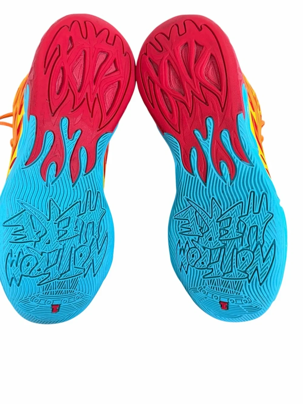 Puma brand model